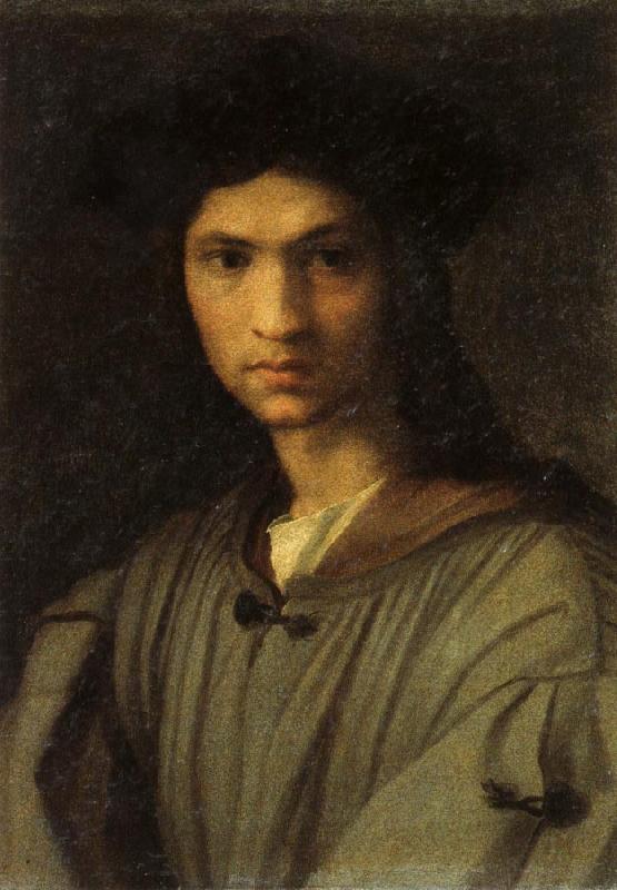 Andrea del Sarto Self-Portrait Germany oil painting art